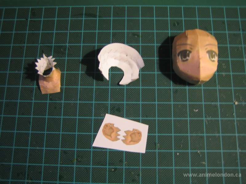 components to the face