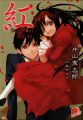 Kure-nai - Novel