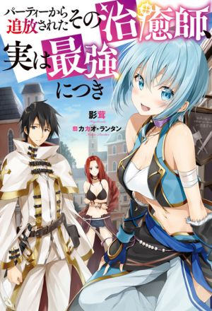 Party kara Tsuihou Sareta Sono Chiyushi, Jitsu wa Saikyou ni Tsuki